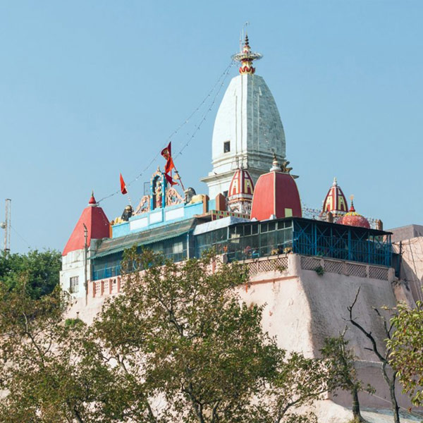 Mansa Devi